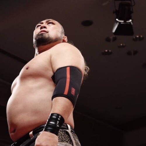 伝説!あの名プロレスラー!兄弟！