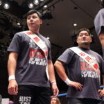 AJPW0039