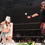 スターダム 1011キッド小波  - 1