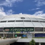 説明付き　バンテリンドーム 03