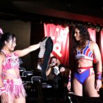 0Z5A1341　セミ後