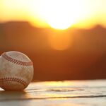 まるスポフリー画像17