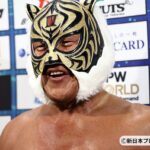 黄金の虎が駆け抜けた31年の全軌跡