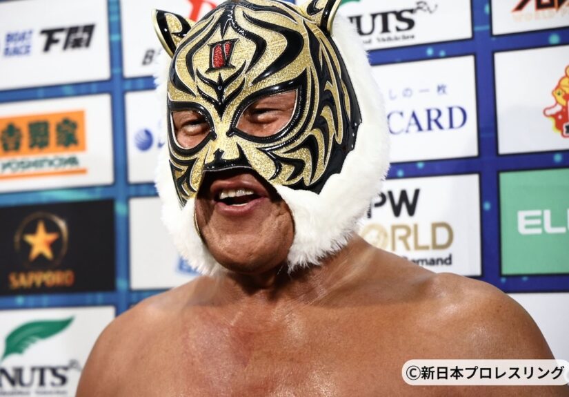 黄金の虎が駆け抜けた31年の全軌跡