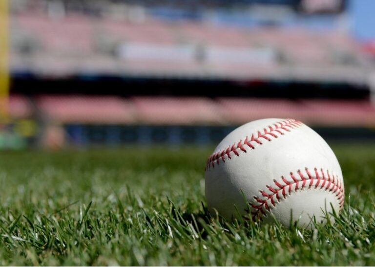 まるスポフリー画像04