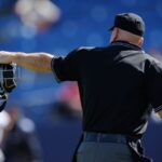 球審まるスポフリー画像01