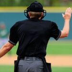 球審まるスポフリー画像02