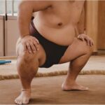 大相撲2