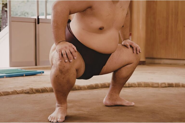 大相撲2