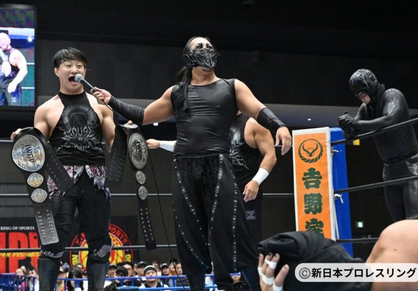 SHODOUKIベルト7