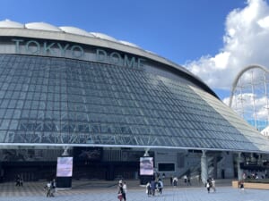 IMG_6254